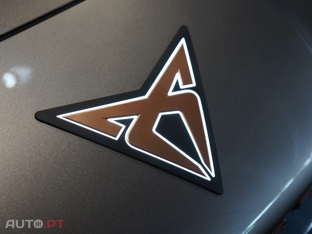 Cupra Tavascan 77 kWh Endurance