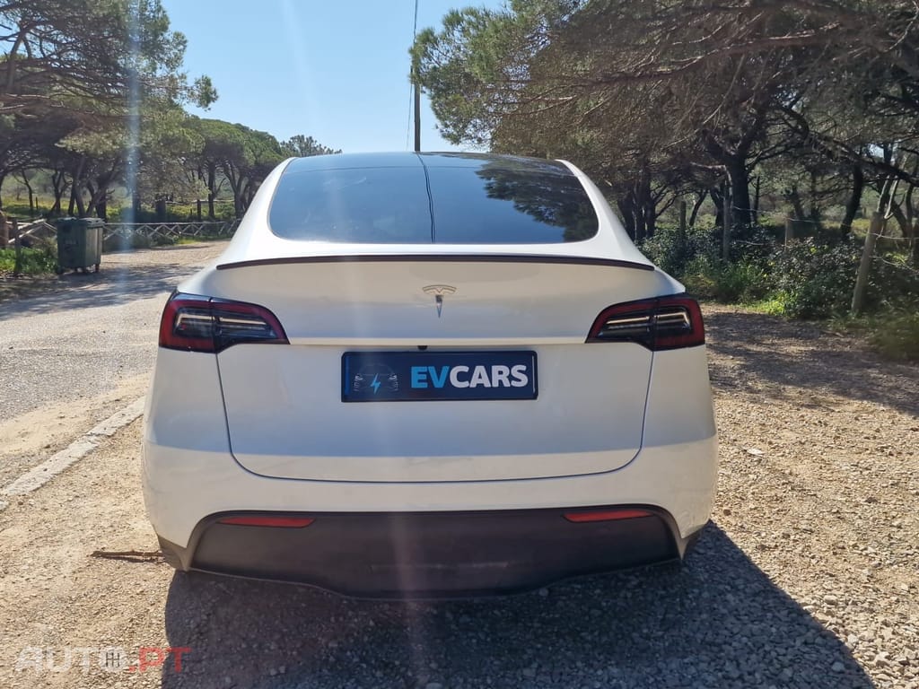 Tesla Model Y RWD
