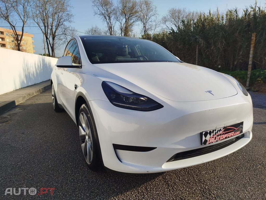 Tesla Model Y RWD