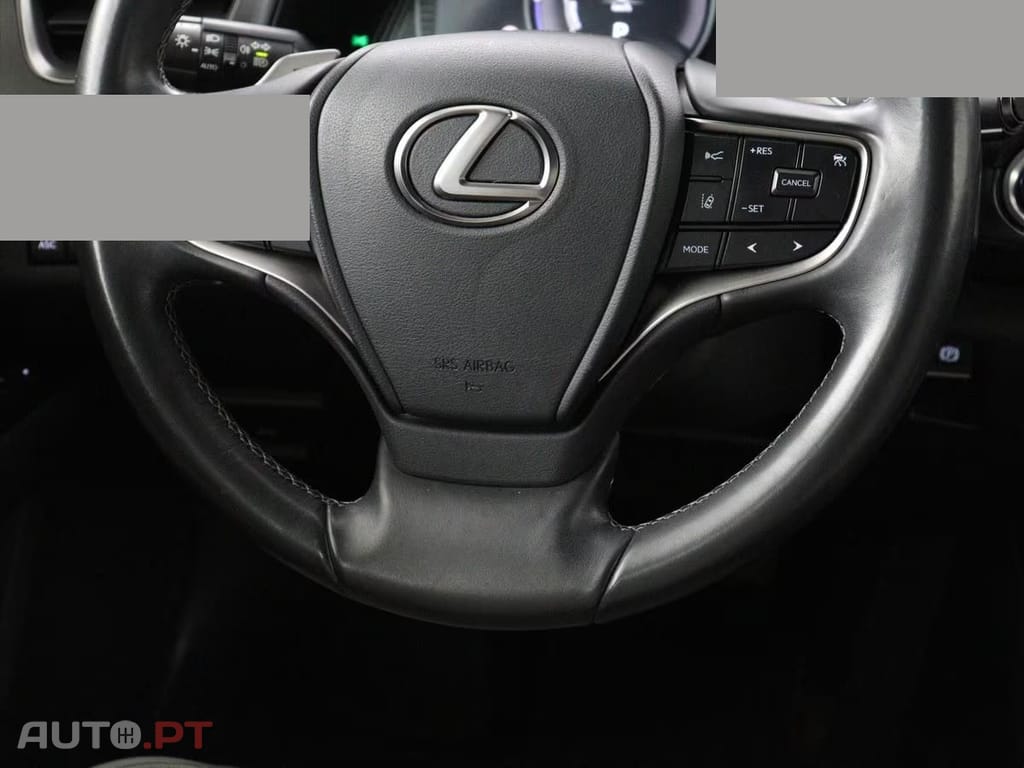 Lexus UX 54 kWh