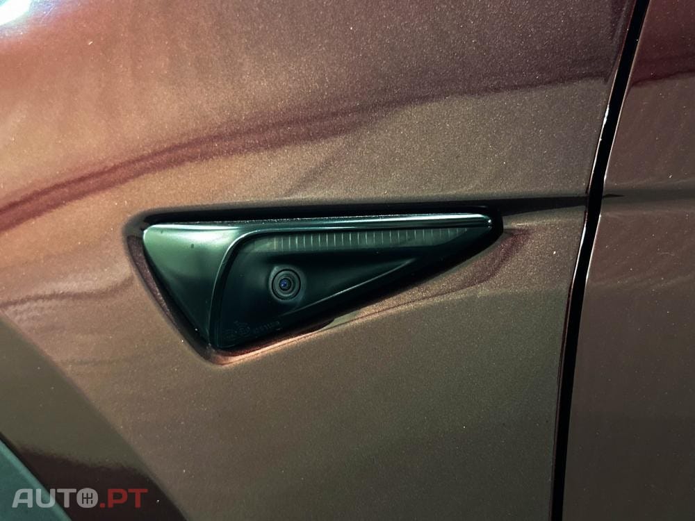 Tesla Model Y Performance Dual Motor AWD