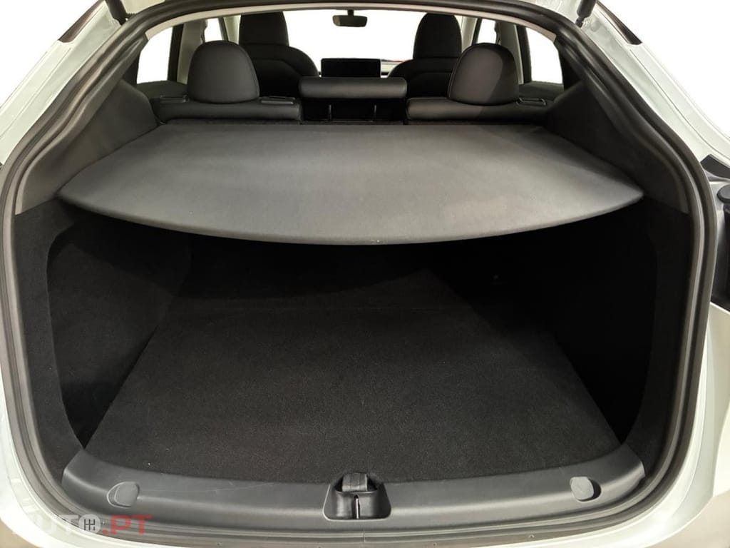 Tesla Model Y Standard RWD