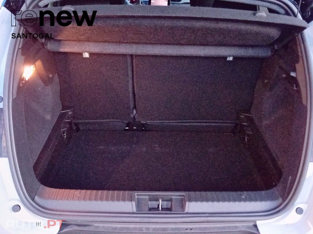 Renault Captur Captur Techno Bi-Fuel 100