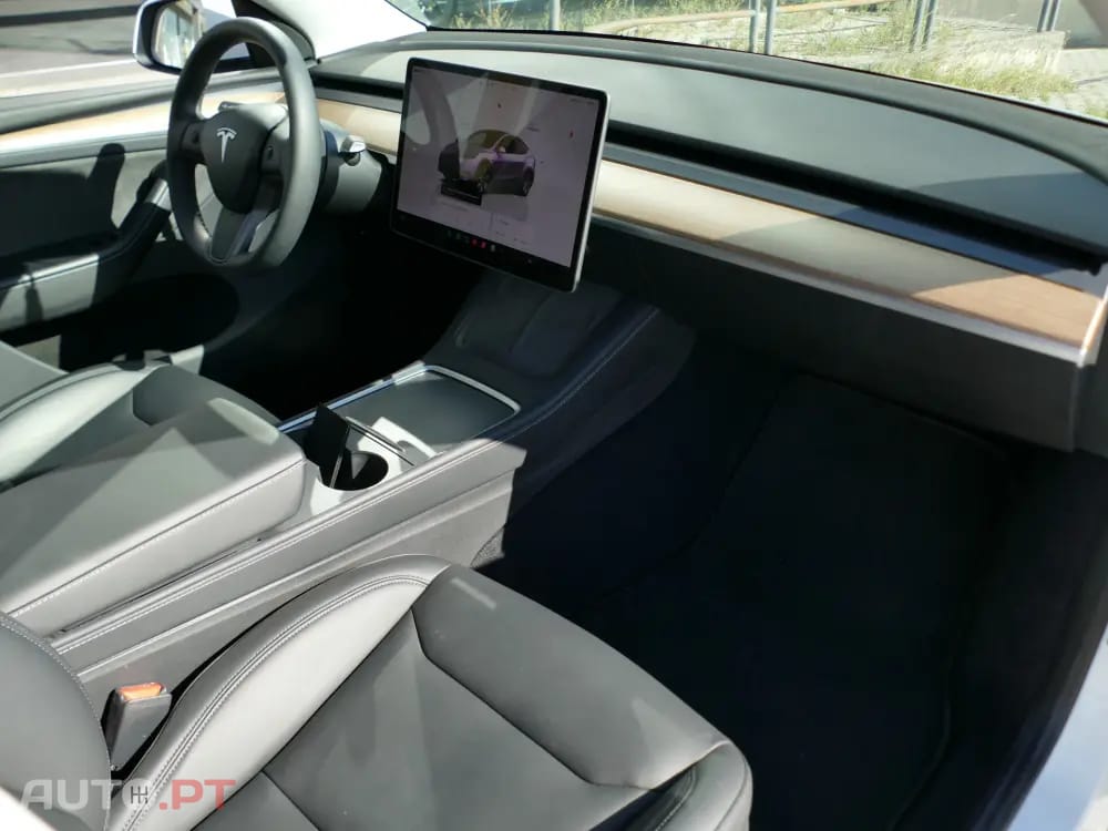 Tesla Model Y Standard