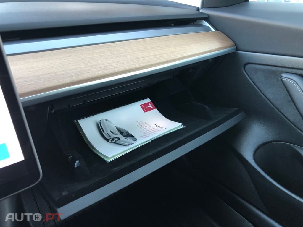 Tesla Model 3 Standard Range Plus RWD