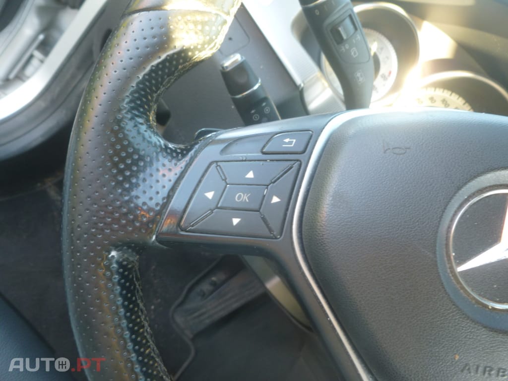 Mercedes-Benz E 220 CDI Bluetec Avangarde