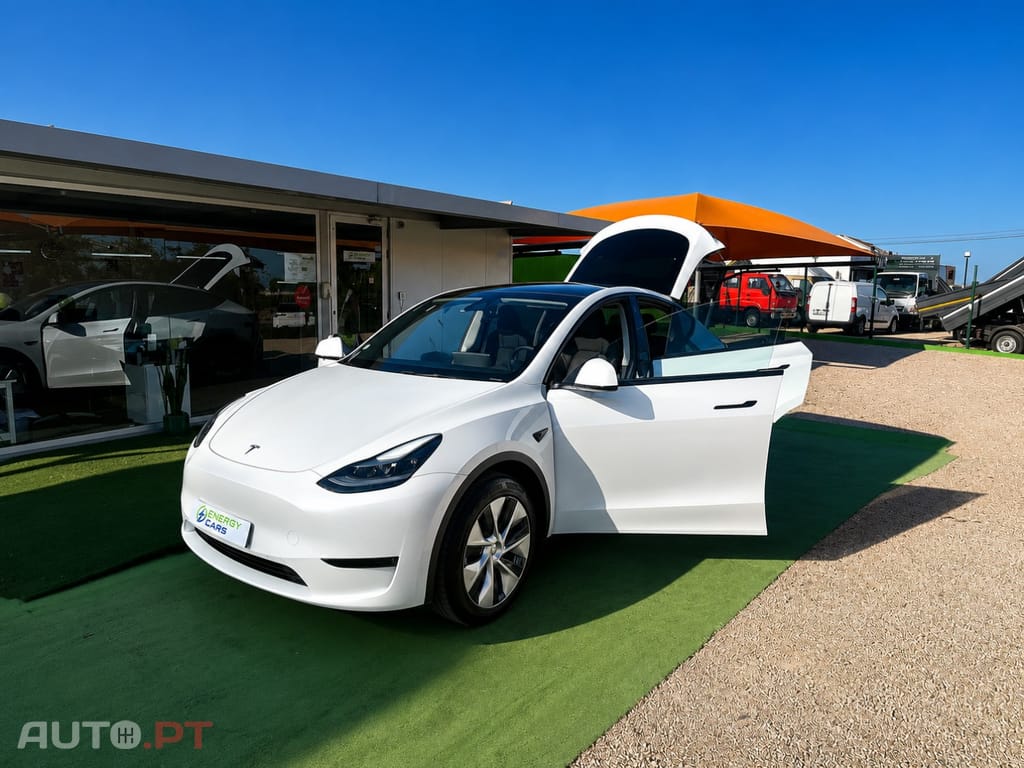 Tesla Model Y Standard
