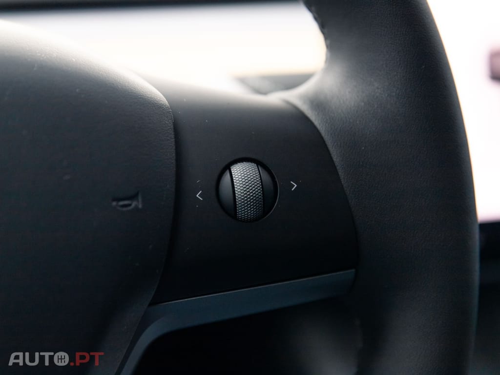 Tesla Model Y Performance Dual Motor AWD