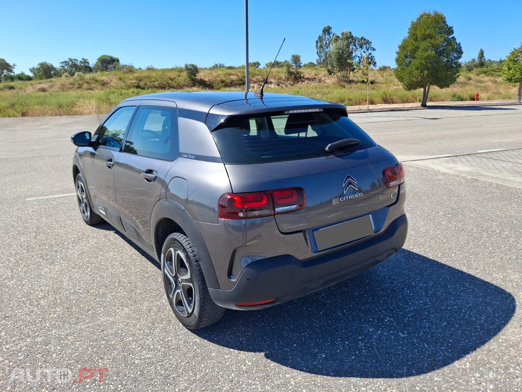 Citroen C4 Cactus 110cv