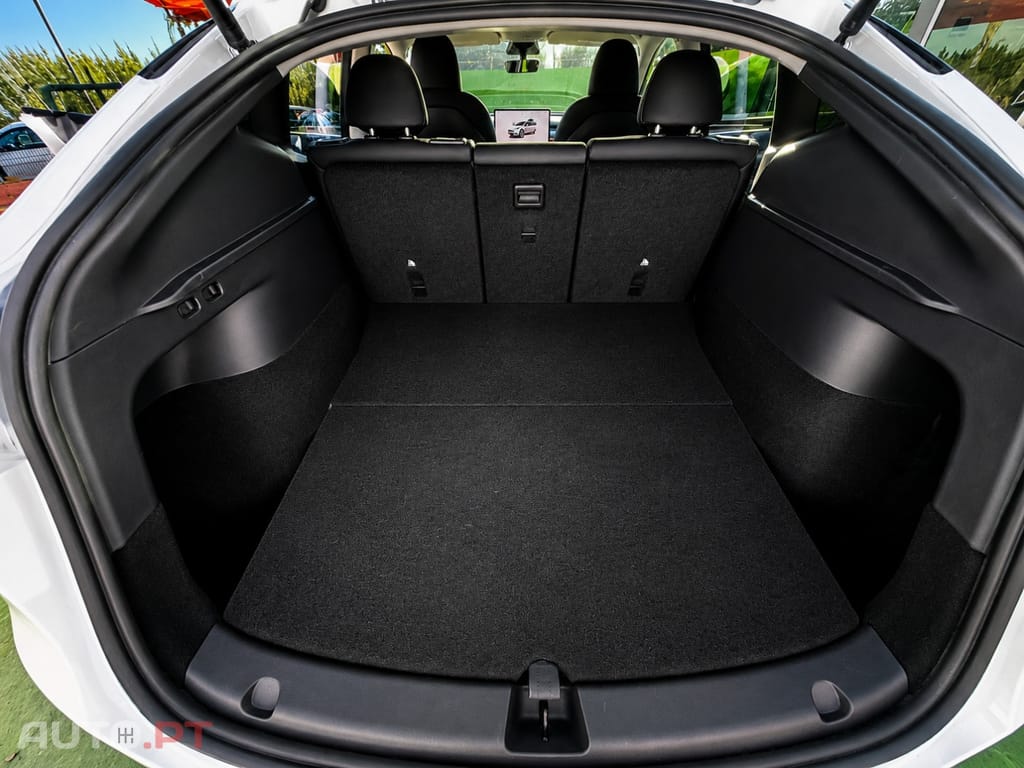 Tesla Model Y Standard