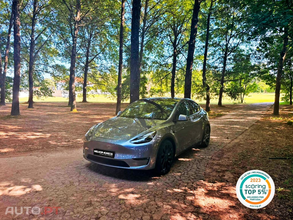 Tesla Model Y Performance Dual Motor AWD