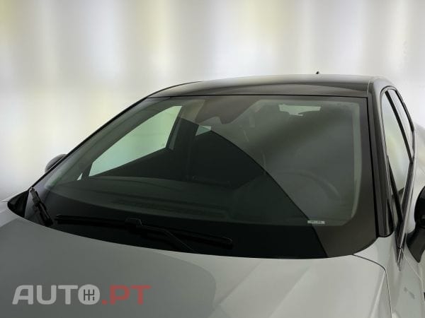 Renault Captur 1.0 TCe 100 Bi-Fuel techno