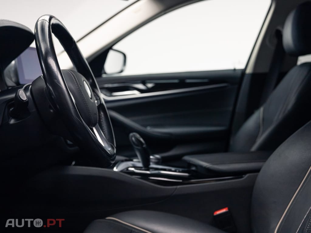 BMW 520 d Line Luxury Auto