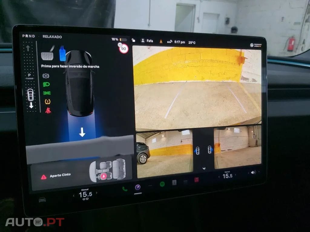 Tesla Model 3 Tração Traseira Premium