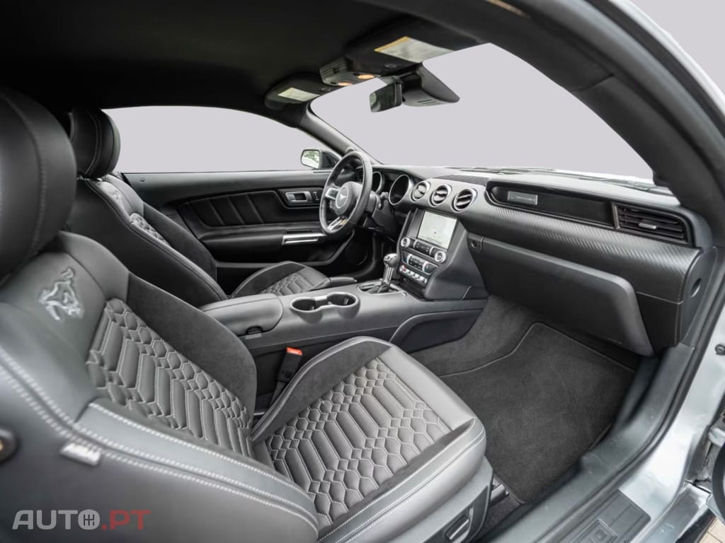 Ford Mustang 2,3 Gt350 SPUR