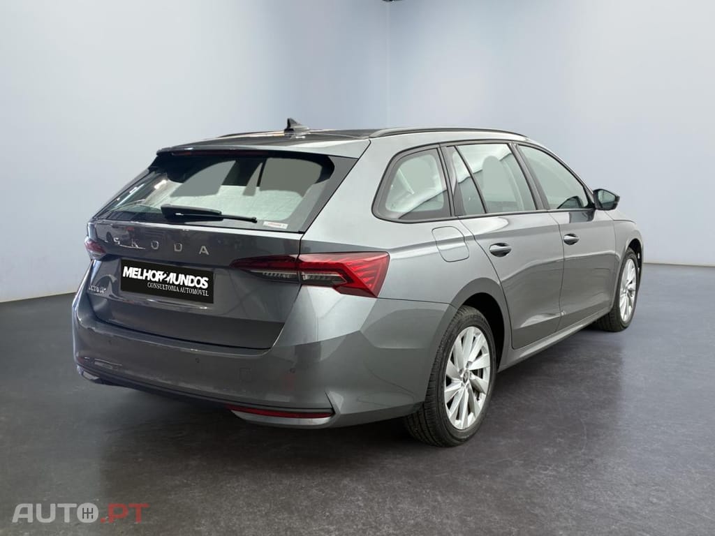 Skoda Octavia Break 2.0 TDI Selection DSG
