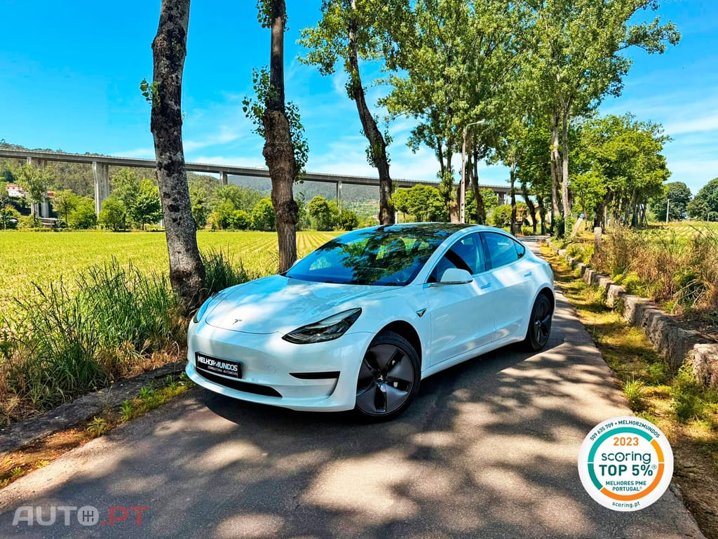 Tesla Model 3 Standard RWD Plus