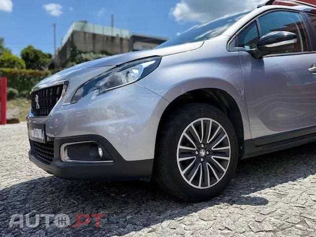 Peugeot 2008 other_Outro