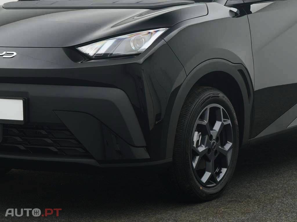 BYD Dolphin Surf Boost