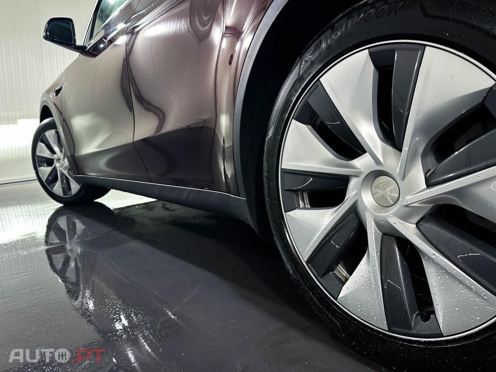 Tesla Model Y Standard