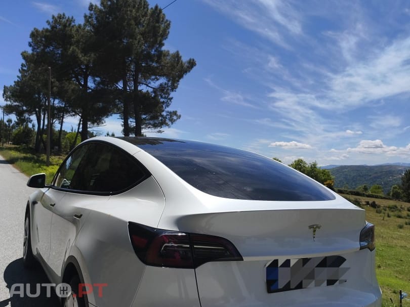 Tesla Model Y RWD