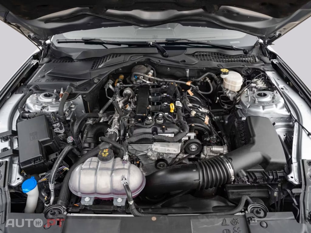 Ford Mustang 2,3 Gt350 SPUR