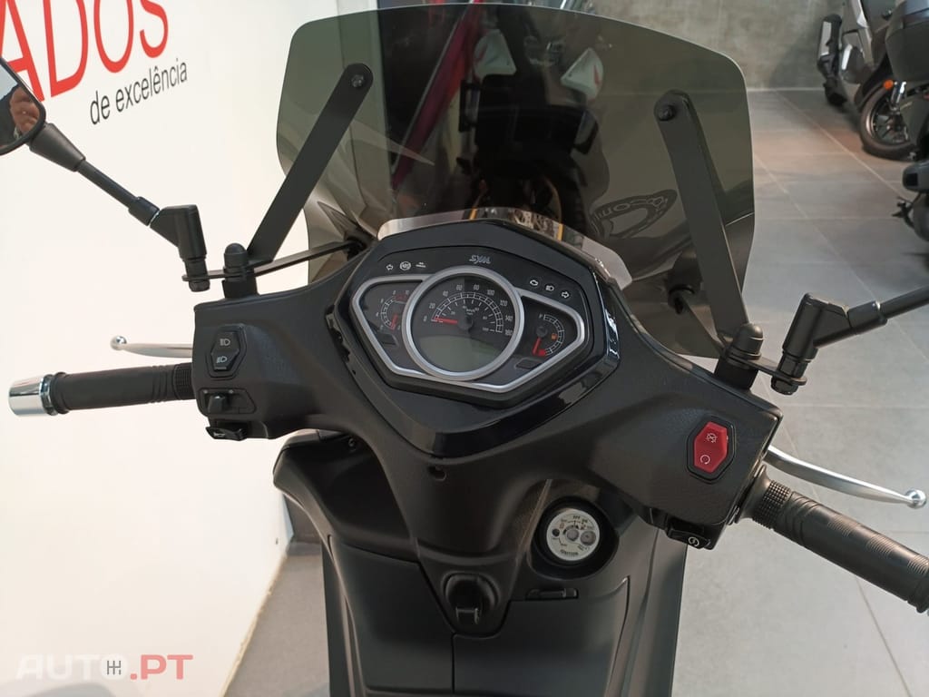Sym HD 300