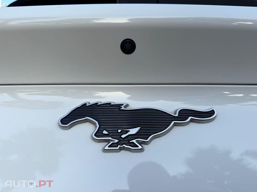 Ford Mustang Mach-E Standard