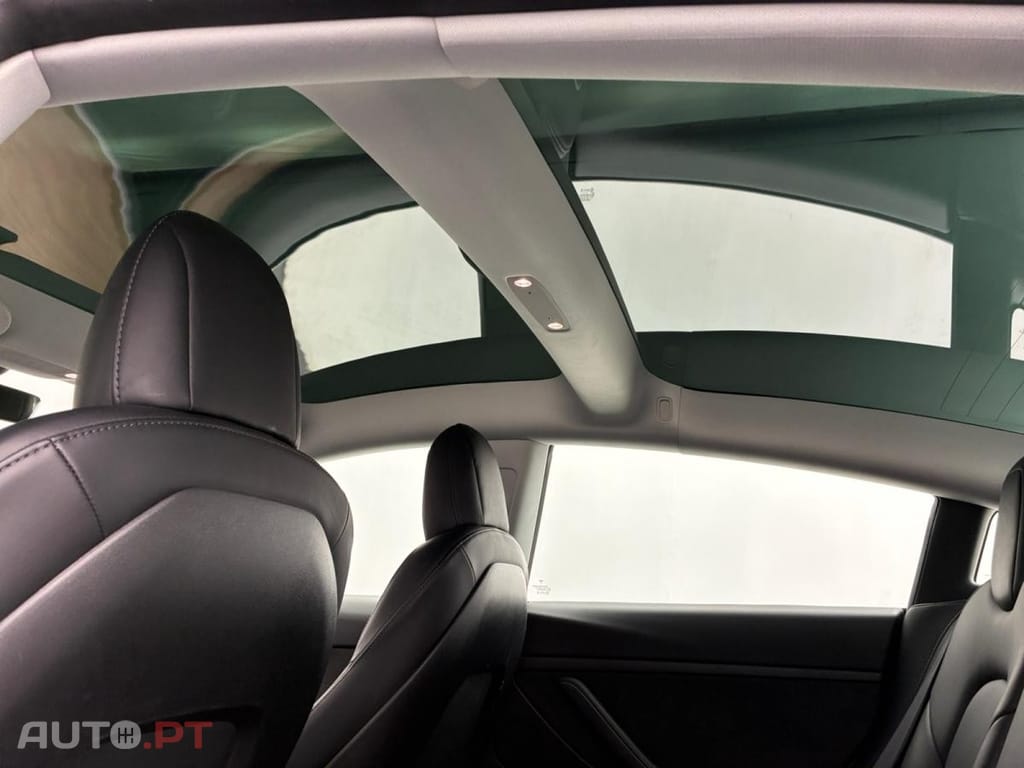 Tesla Model 3 AWD Dual Motor