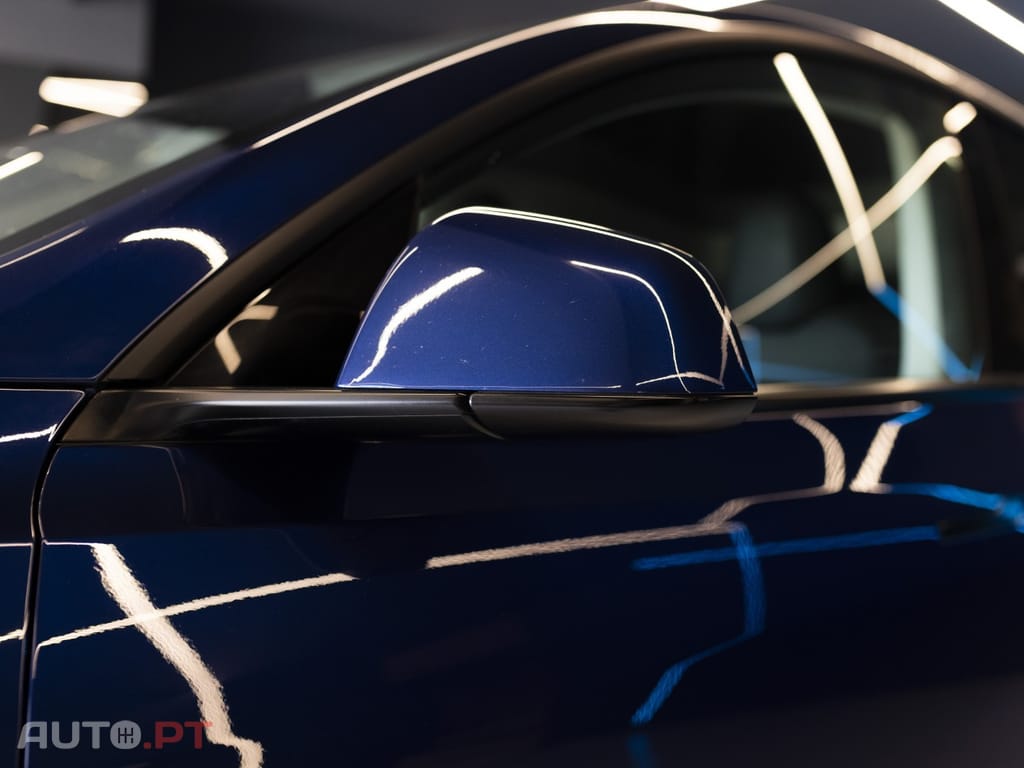 Tesla Model Y Standard