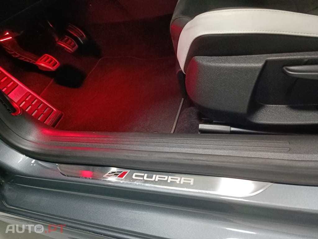 Seat Leon 2.0 TSI S&S Cupra 265