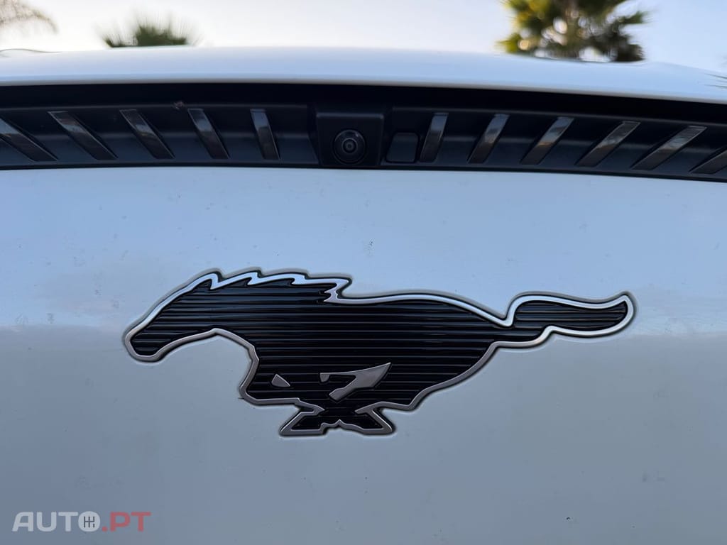 Ford Mustang Mach-E Standard