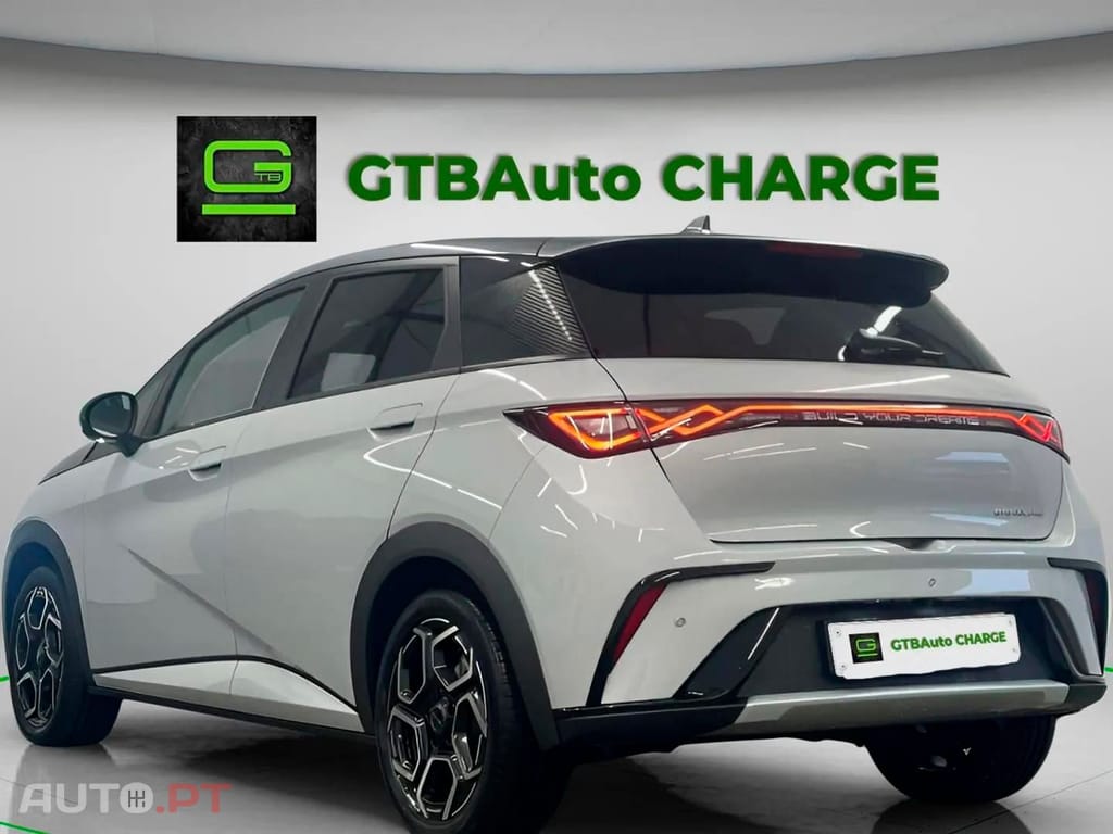 BYD Dolphin Design 