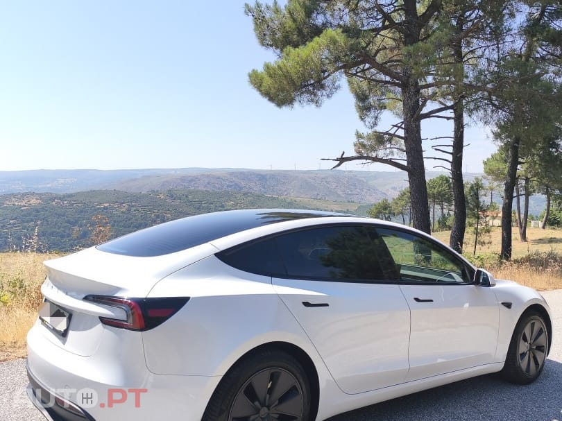 Tesla Model 3 Standard RWD