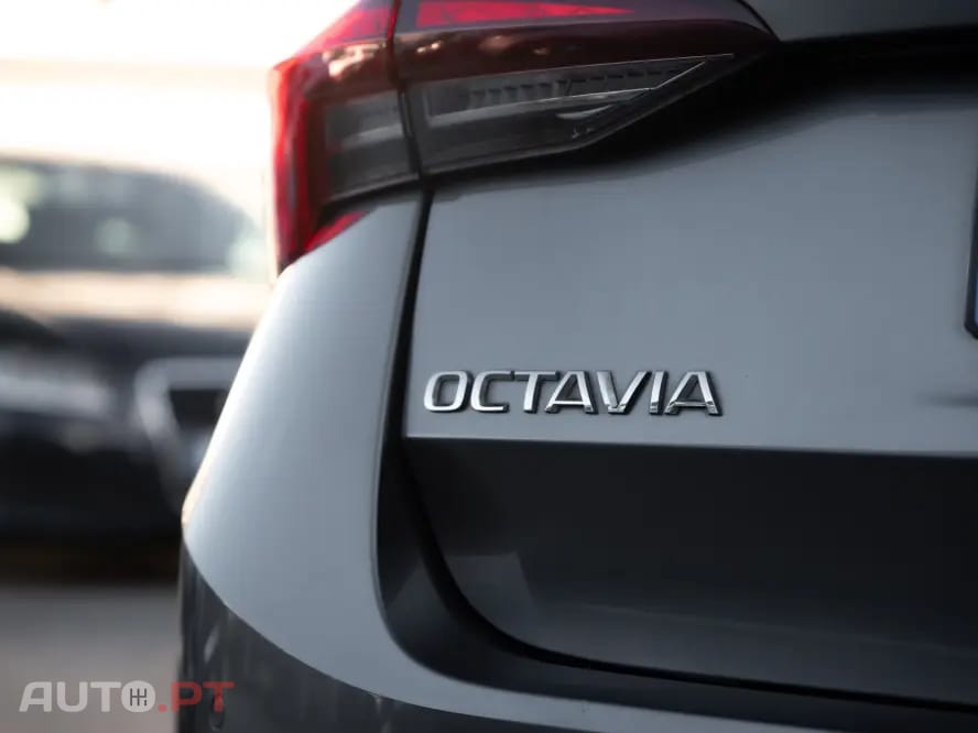 Skoda Octavia Break 2.0 TDI Ambition DSG 4x4