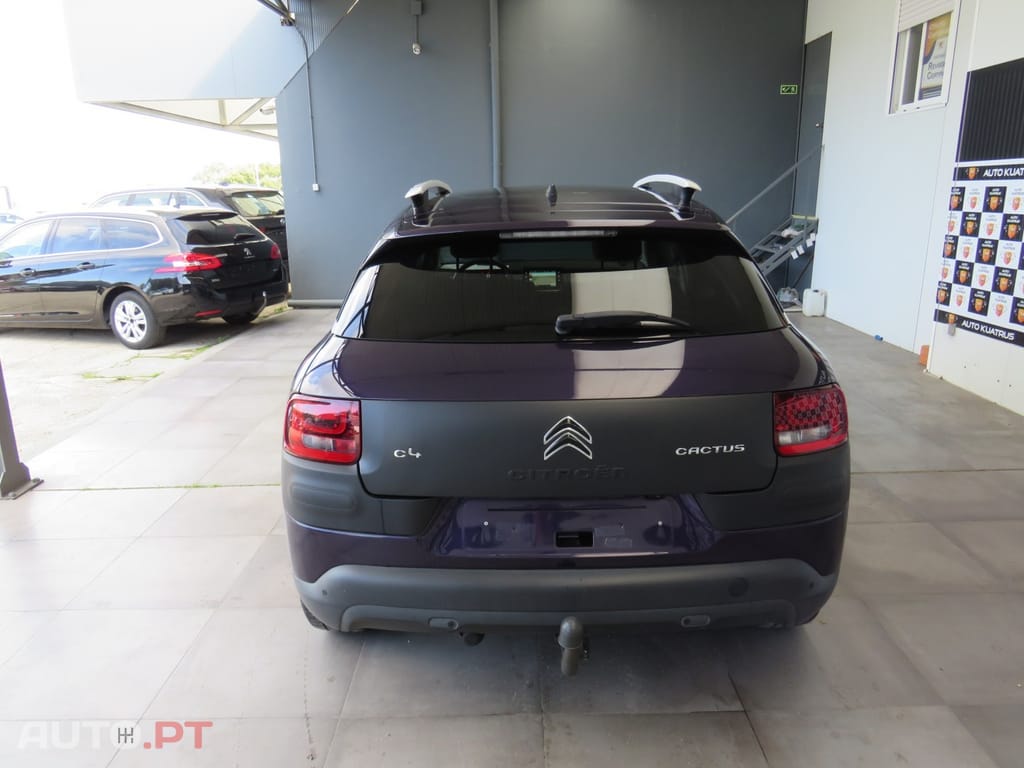 Citroen C4 Cactus 1.6 HDI Panorâmico