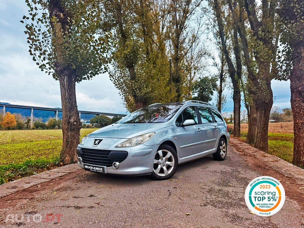 Peugeot 207 SW 1.6 HDi Outdoor FAP