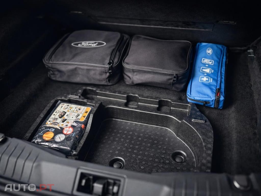 Ford Mustang Mach-E Standard