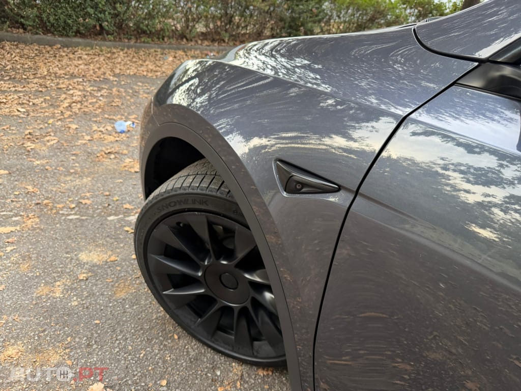 Tesla Model Y Long Range Tração Integral