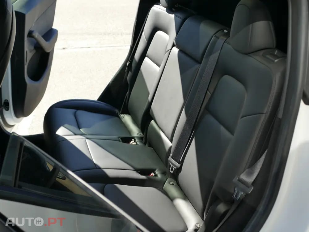 Tesla Model Y Standard