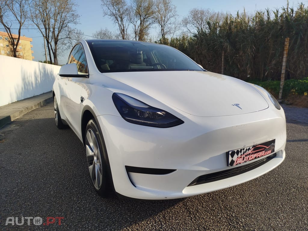 Tesla Model Y RWD