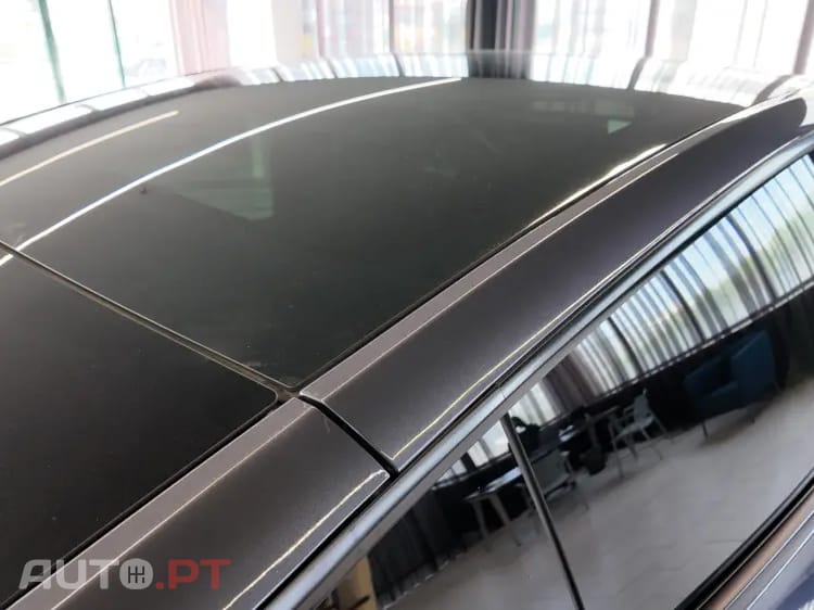 Tesla Model Y Long Range Tração Integral Premium