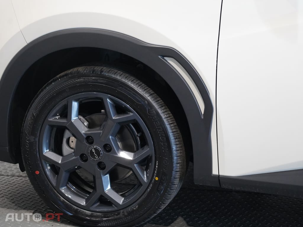 BYD Dolphin Surf Comfort