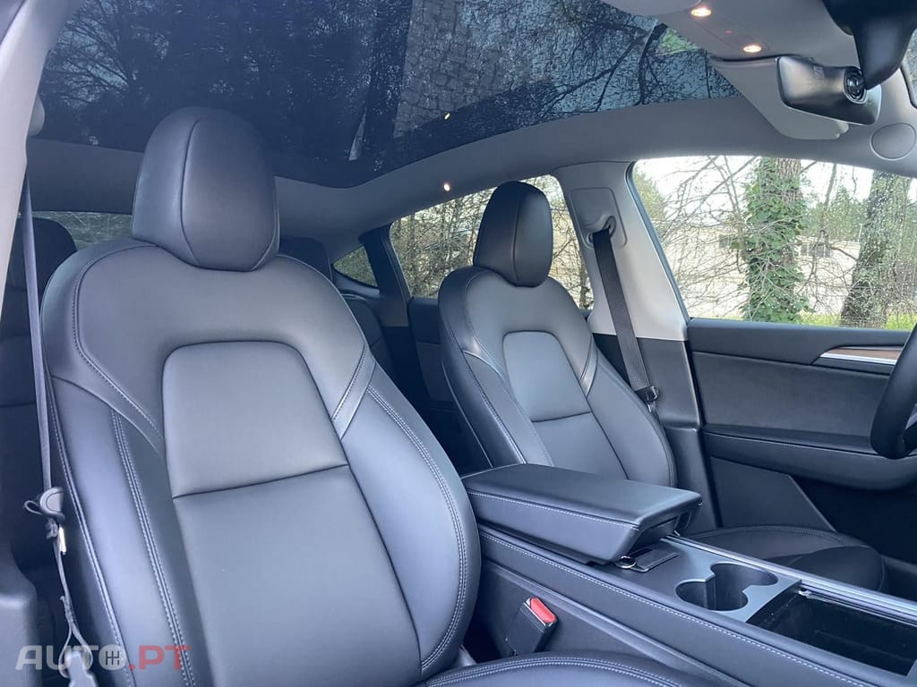 Tesla Model Y PERFORMANCE DUAL MOTOR AWD