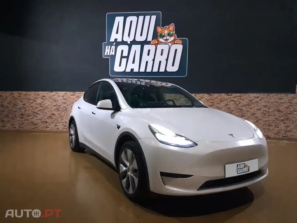 Tesla Model Y RWD