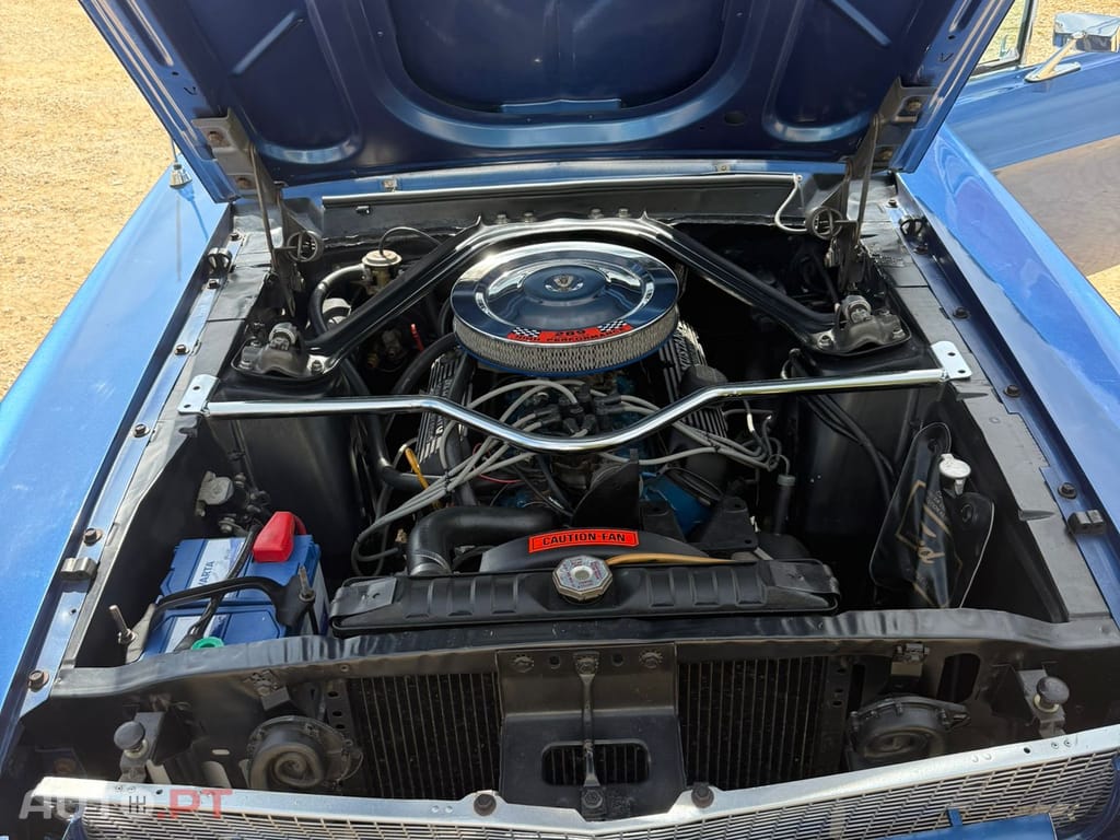 Ford Mustang 289