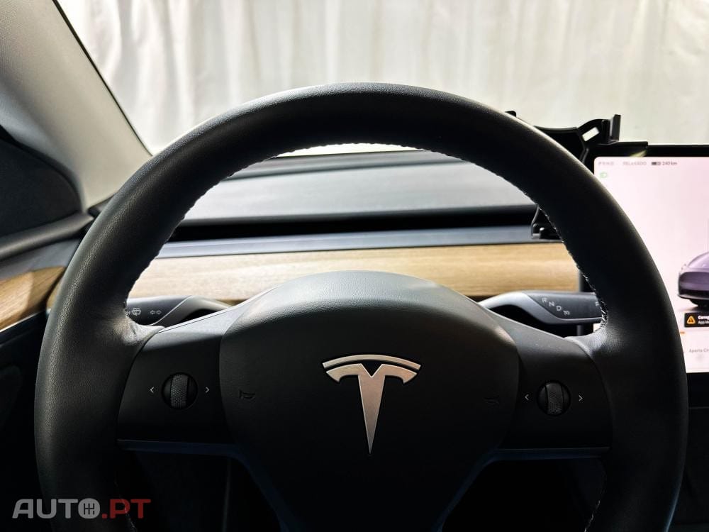 Tesla Model Y Standard