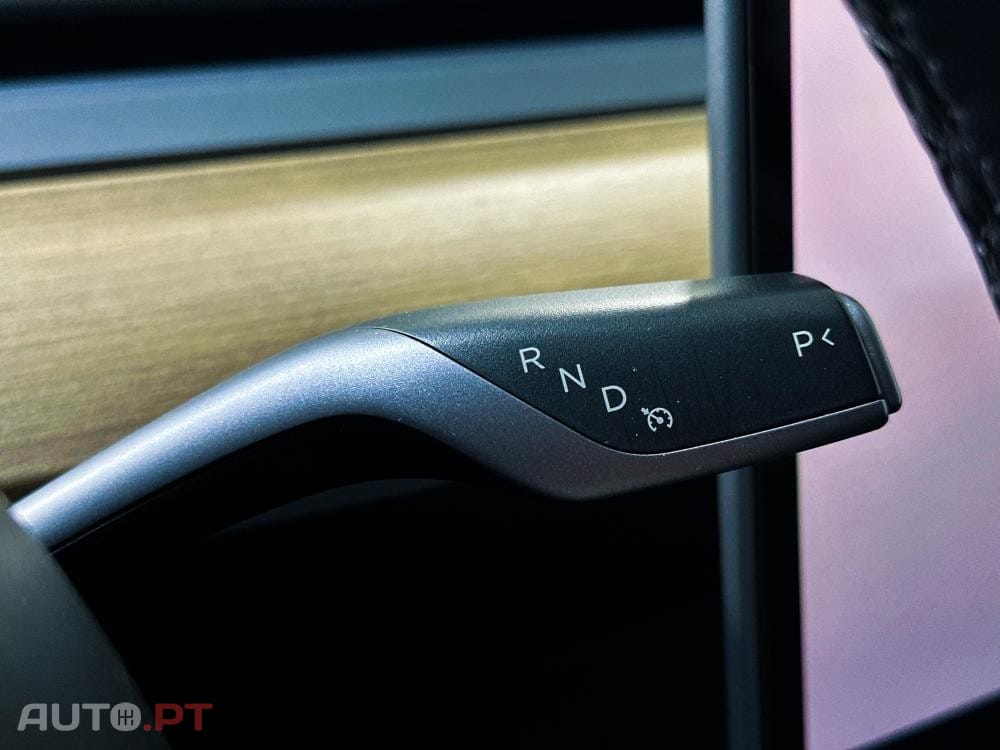 Tesla Model Y Standard