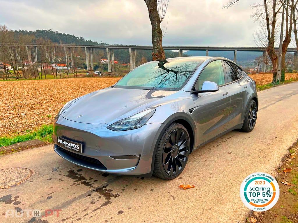 Tesla Model Y Performance Dual Motor AWD