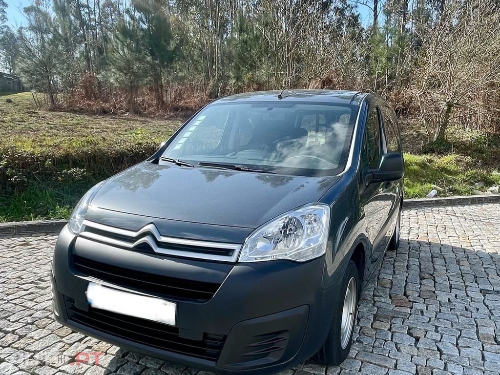Citroen Berlingo berlingo